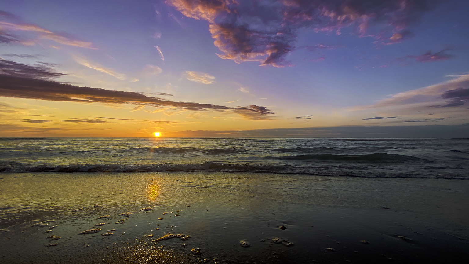 Cosy Dunes – noordzee 1