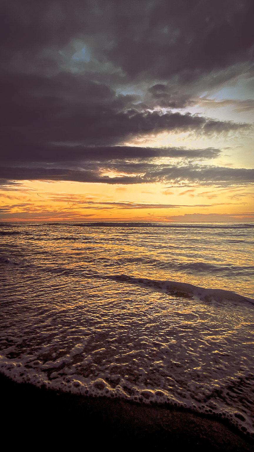 Cosy Dunes – noordzee 2